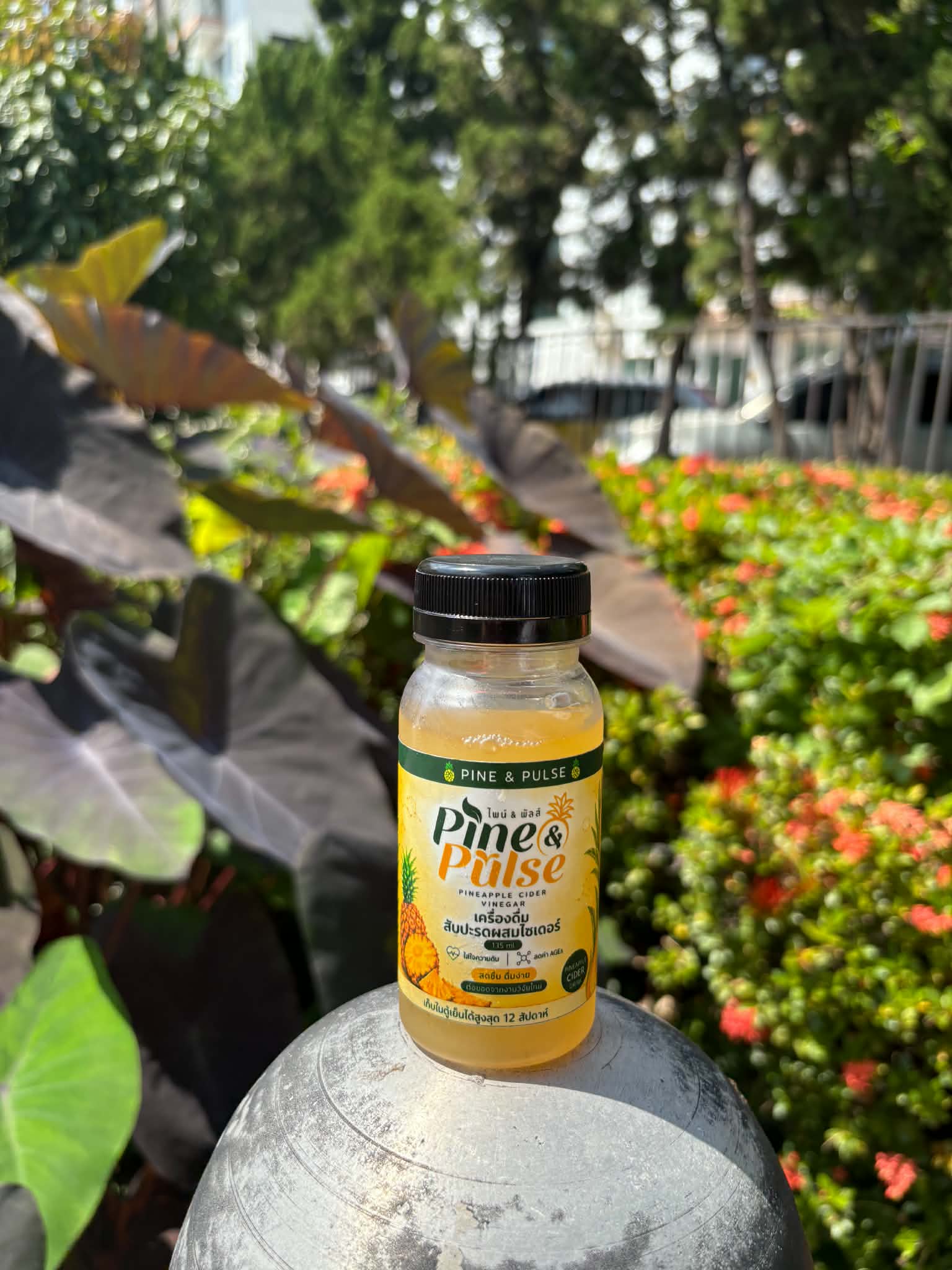 ขวดเครื่องดื่มสับปะรดผสมไซเดอร์ PINE & PULSE ขนาด 135 ml